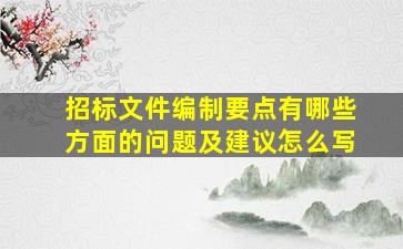 招标文件编制要点有哪些方面的问题及建议怎么写