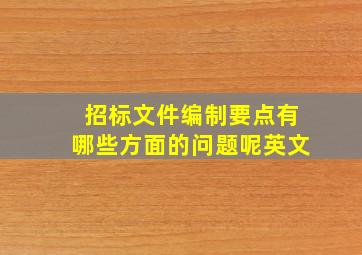 招标文件编制要点有哪些方面的问题呢英文