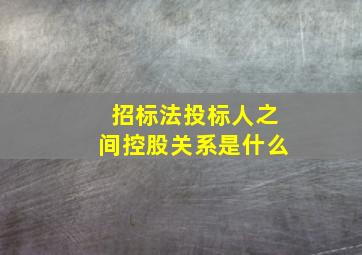 招标法投标人之间控股关系是什么