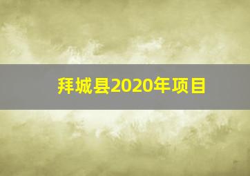 拜城县2020年项目