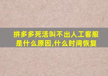 拼多多死活叫不出人工客服是什么原因,什么时间恢复