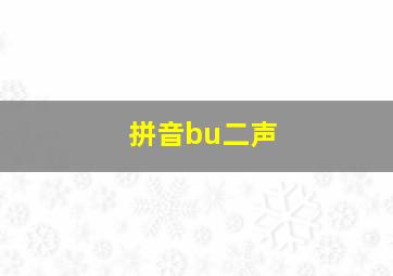 拼音bu二声