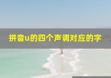 拼音u的四个声调对应的字