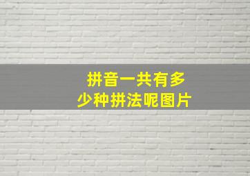 拼音一共有多少种拼法呢图片