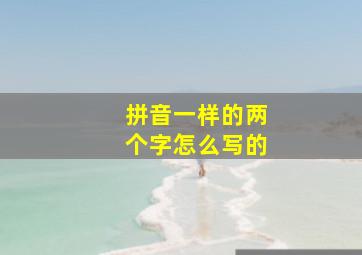 拼音一样的两个字怎么写的