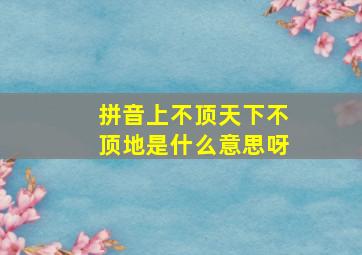 拼音上不顶天下不顶地是什么意思呀