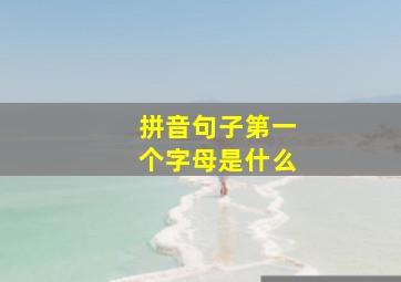 拼音句子第一个字母是什么