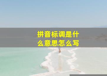 拼音标调是什么意思怎么写