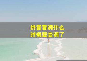 拼音音调什么时候要变调了