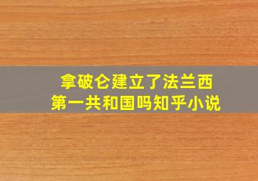 拿破仑建立了法兰西第一共和国吗知乎小说