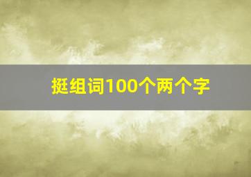 挺组词100个两个字