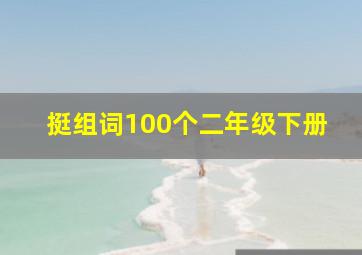 挺组词100个二年级下册