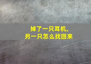 掉了一只耳机,另一只怎么找回来