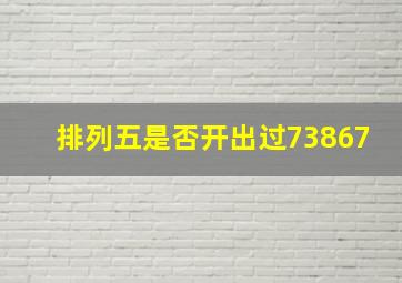 排列五是否开出过73867