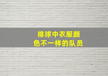 排球中衣服颜色不一样的队员