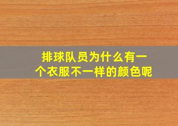 排球队员为什么有一个衣服不一样的颜色呢