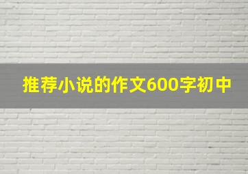 推荐小说的作文600字初中