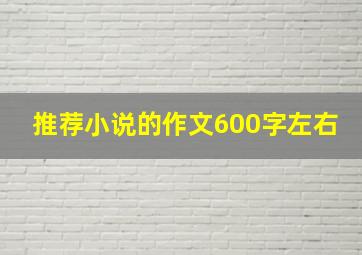 推荐小说的作文600字左右