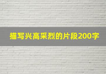 描写兴高采烈的片段200字