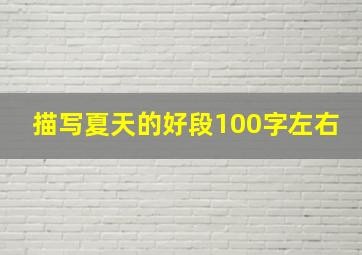 描写夏天的好段100字左右