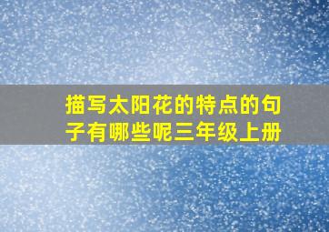 描写太阳花的特点的句子有哪些呢三年级上册