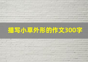 描写小草外形的作文300字