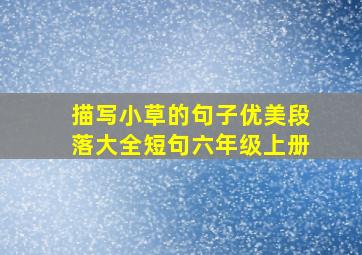 描写小草的句子优美段落大全短句六年级上册