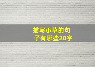 描写小草的句子有哪些20字