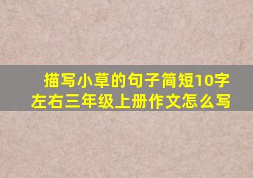 描写小草的句子简短10字左右三年级上册作文怎么写