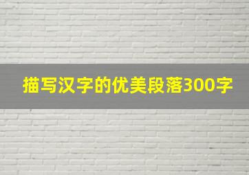 描写汉字的优美段落300字