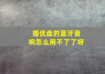 插优盘的蓝牙音响怎么用不了了呀