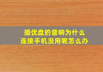 插优盘的音响为什么连接手机没用呢怎么办