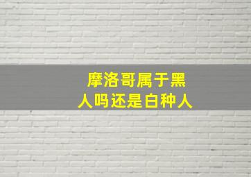 摩洛哥属于黑人吗还是白种人