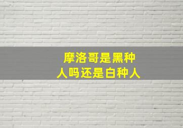 摩洛哥是黑种人吗还是白种人