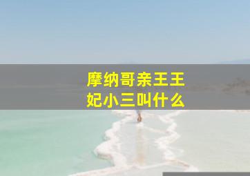 摩纳哥亲王王妃小三叫什么