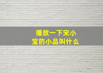 播放一下宋小宝的小品叫什么