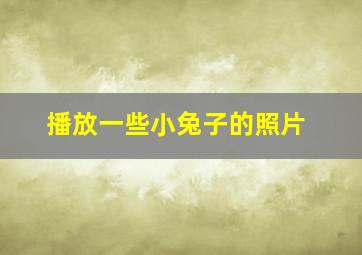 播放一些小兔子的照片