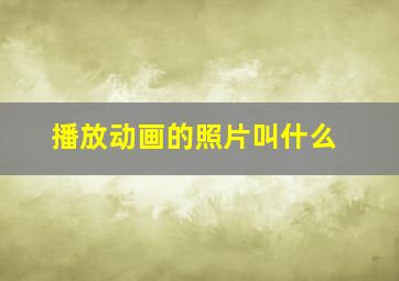 播放动画的照片叫什么