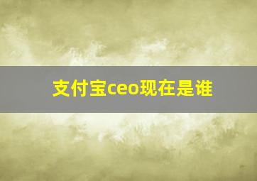 支付宝ceo现在是谁