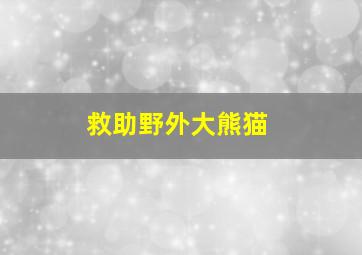 救助野外大熊猫