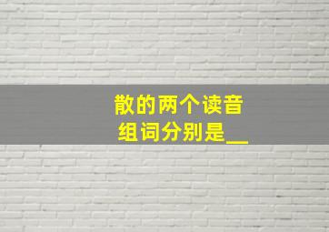 散的两个读音组词分别是__