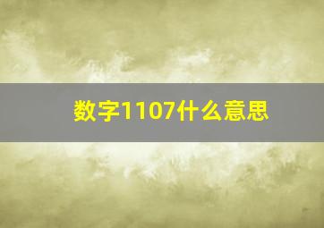 数字1107什么意思