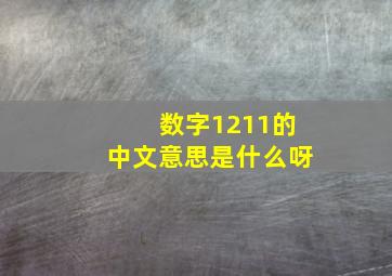 数字1211的中文意思是什么呀