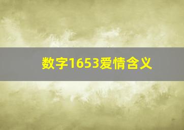 数字1653爱情含义