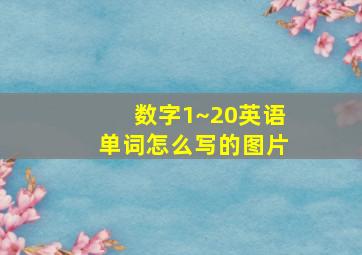 数字1~20英语单词怎么写的图片