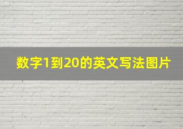 数字1到20的英文写法图片