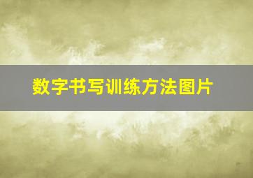 数字书写训练方法图片