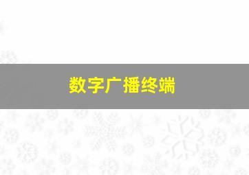 数字广播终端