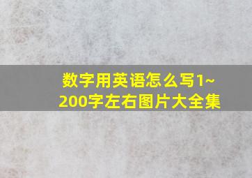 数字用英语怎么写1~200字左右图片大全集