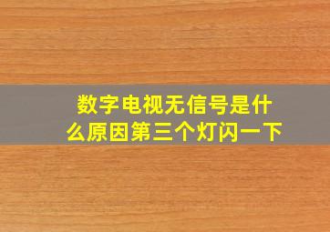 数字电视无信号是什么原因第三个灯闪一下